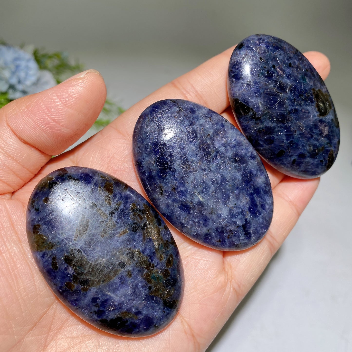 2.2" Cordierite Palm Crystal Healing Bulk Wholesale
