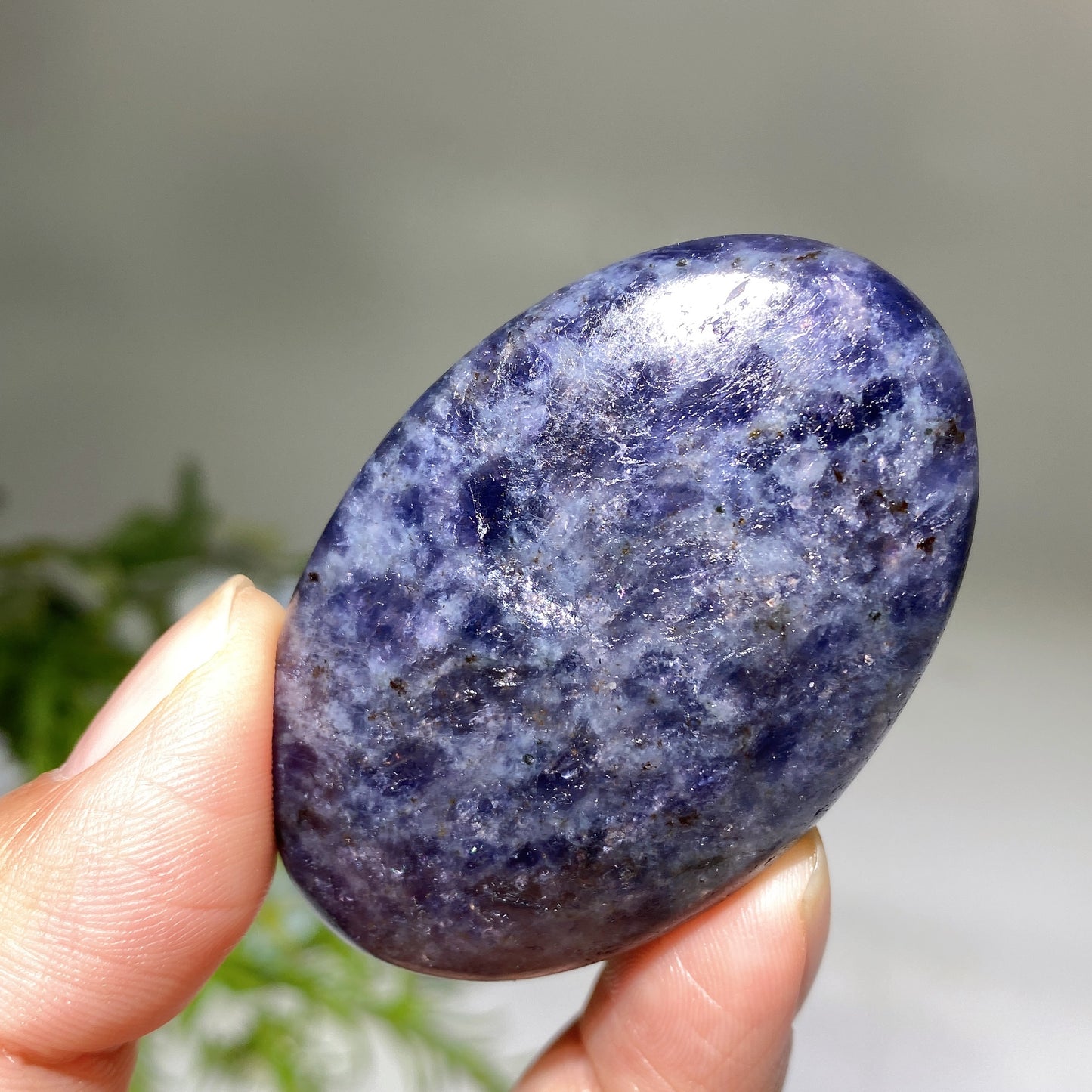 2.2" Cordierite Palm Crystal Healing Bulk Wholesale