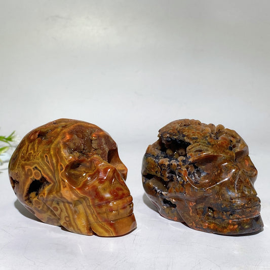 2.9"-3.2" Druzy Agate Skull Carving Crystal Healing Bulk Wholesale