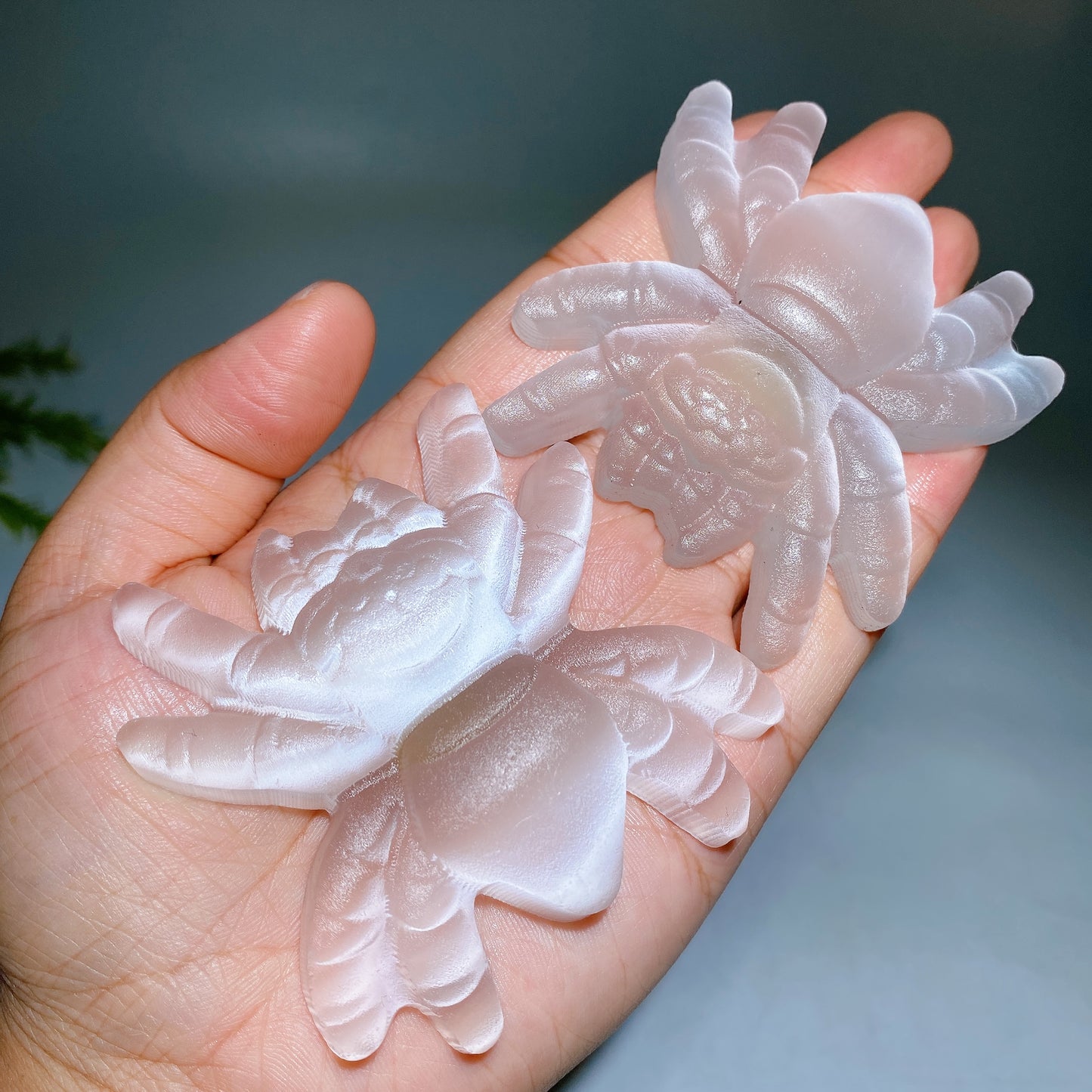 2.7" Selenite Spider Carving Crystal Healing Bulk Wholesale