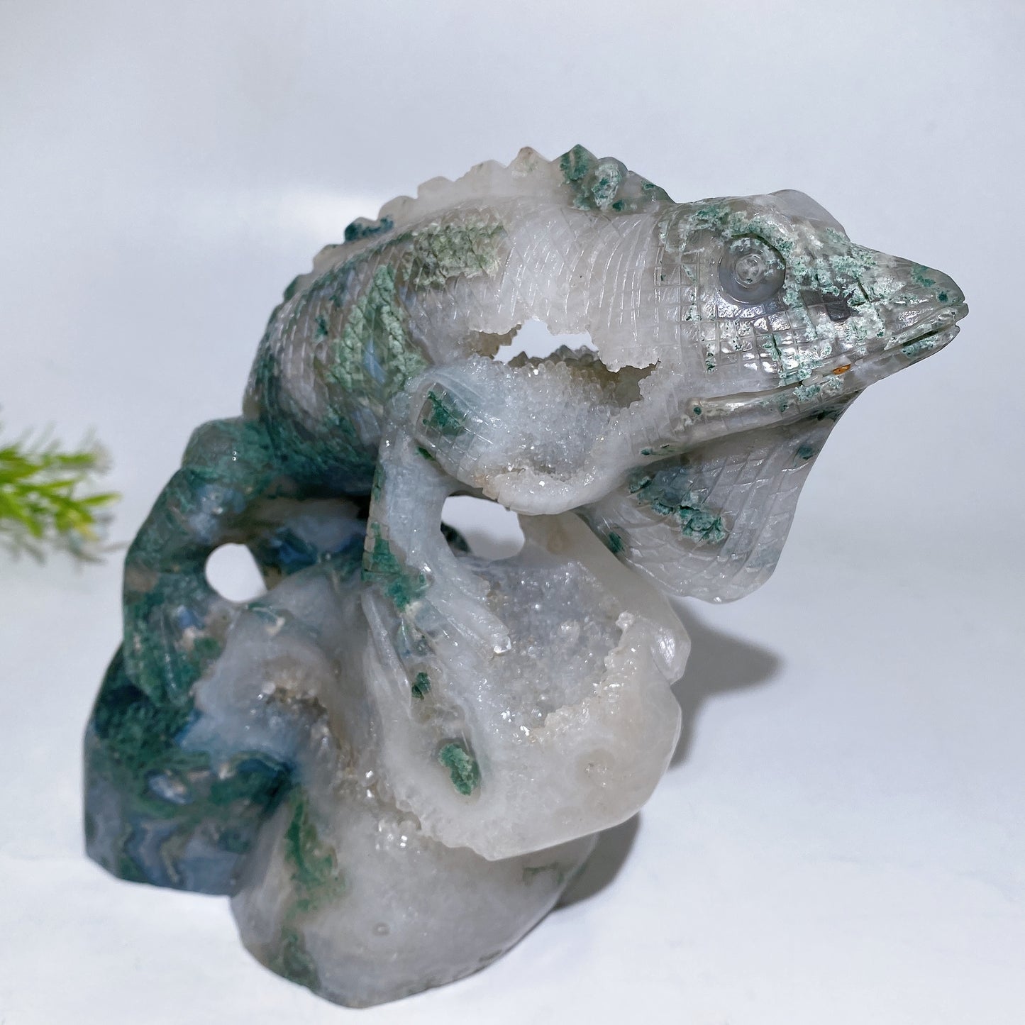 Unique Hand Carved Druzy Moss Agate Lizard Free Form Crystal Healing Bulk Wholesale