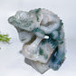Unique Hand Carved Druzy Moss Agate Lizard Free Form Crystal Healing Bulk Wholesale