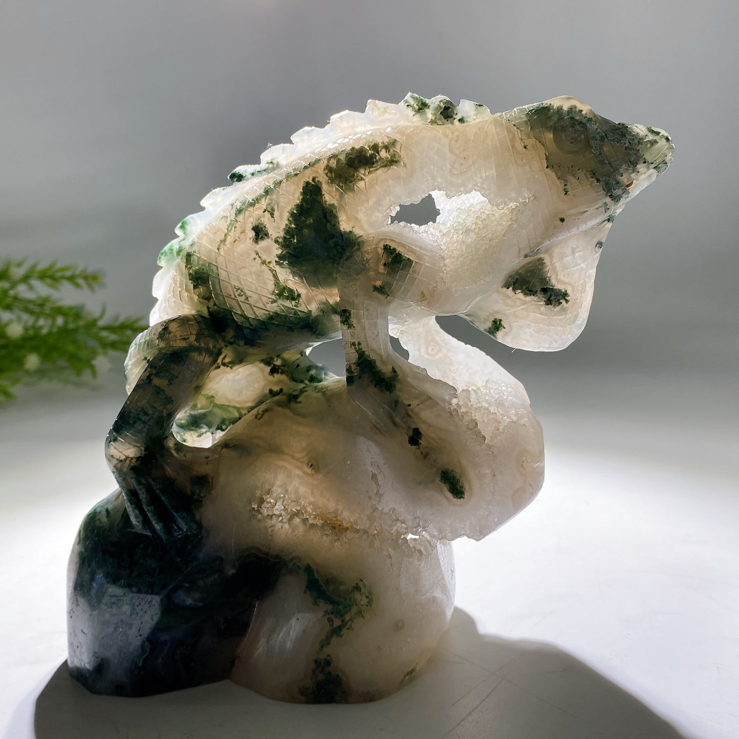 Unique Hand Carved Druzy Moss Agate Lizard Free Form Crystal Healing Bulk Wholesale