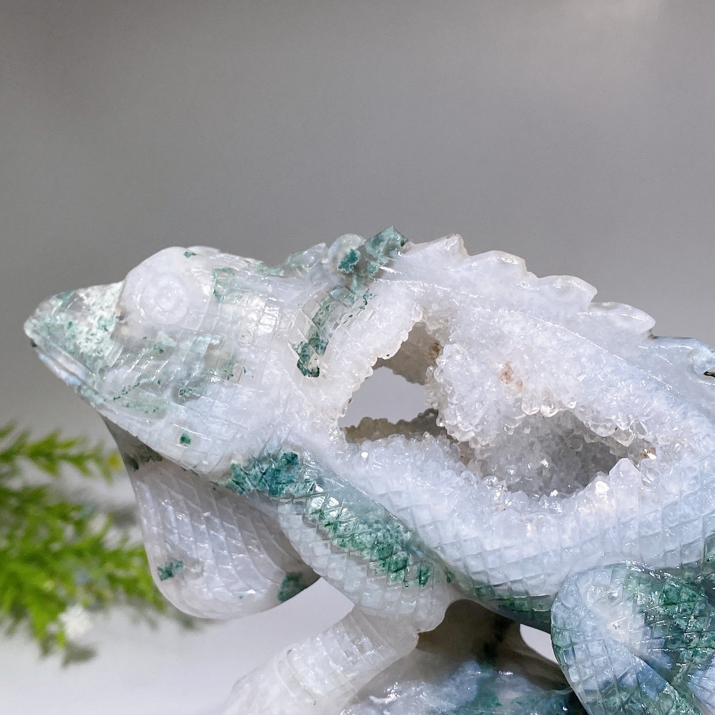Unique Hand Carved Druzy Moss Agate Lizard Free Form Crystal Healing Bulk Wholesale