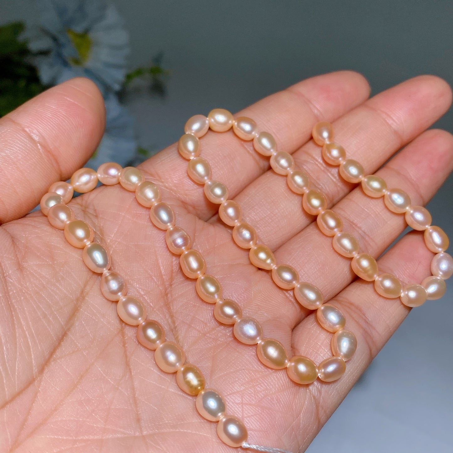 6mm Fresh Water Pearl Beads String Crystal Healing Bulk Wholesale