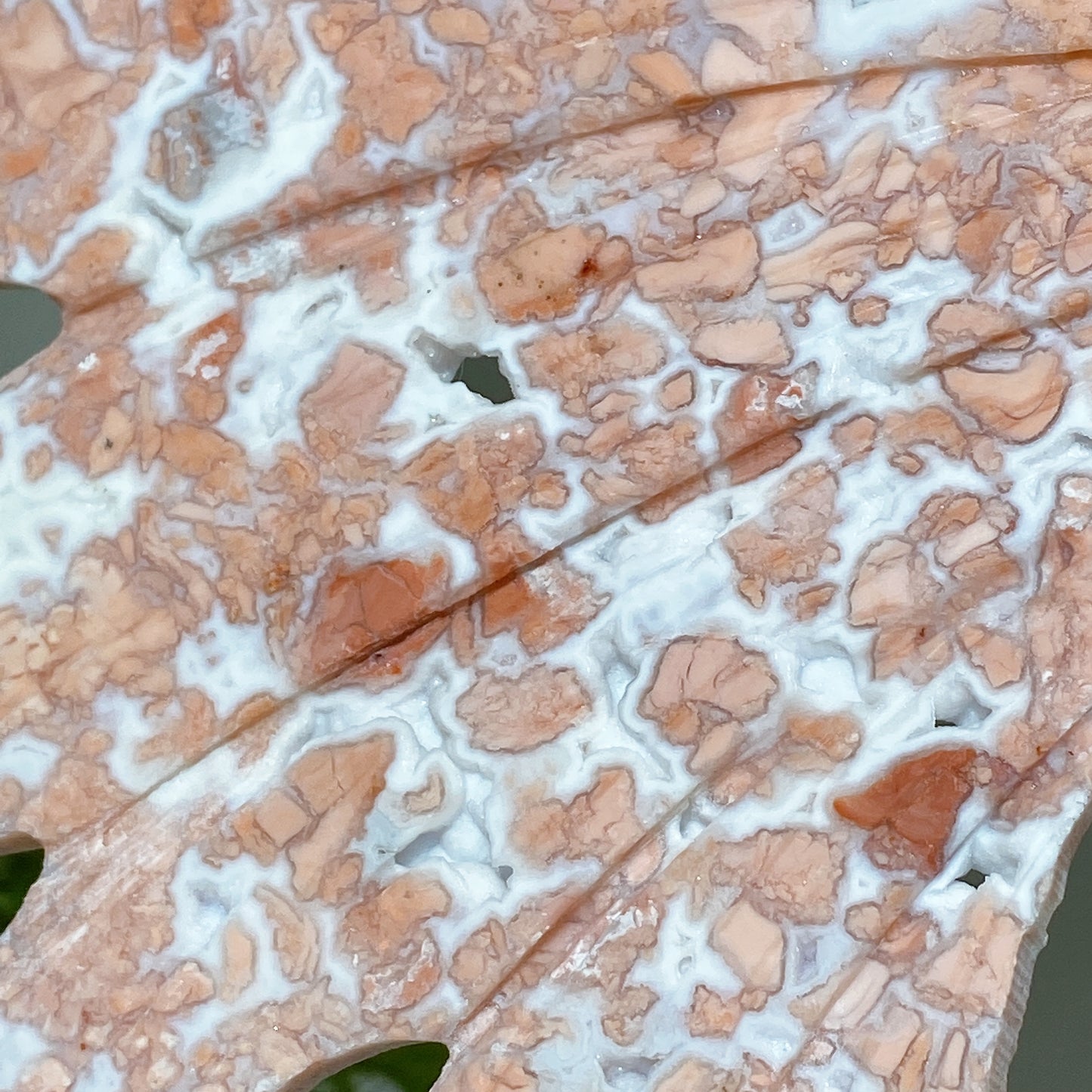 Large Unique Druzy Cotton Candy Agate Butterfly Wings Carving with Stand Crystal Healing Bulk Wholesale