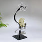 Crystal Star Moon Carving with Stand Crystal Healing Bulk Wholesale