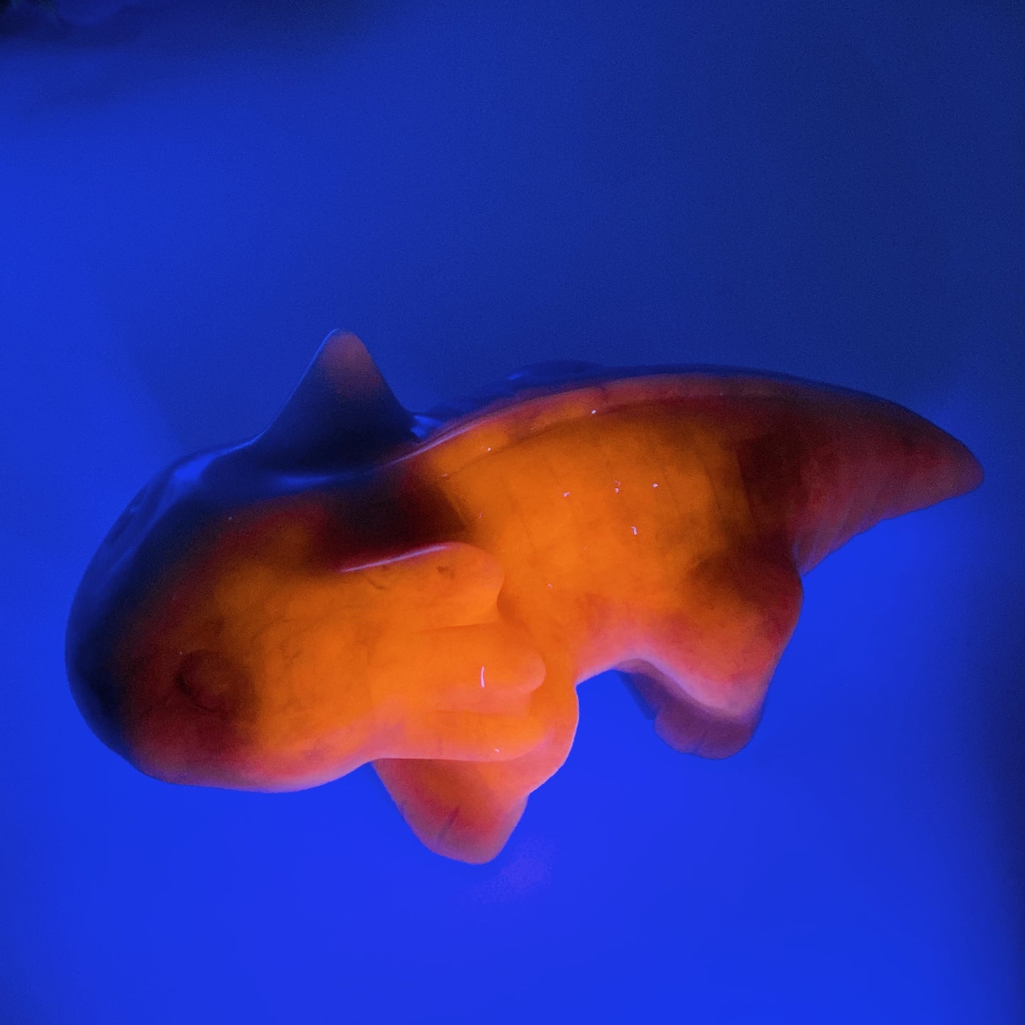 5.8" UV Reactive Aventurine Salamander Carving Crystal Healing Bulk Wholesale