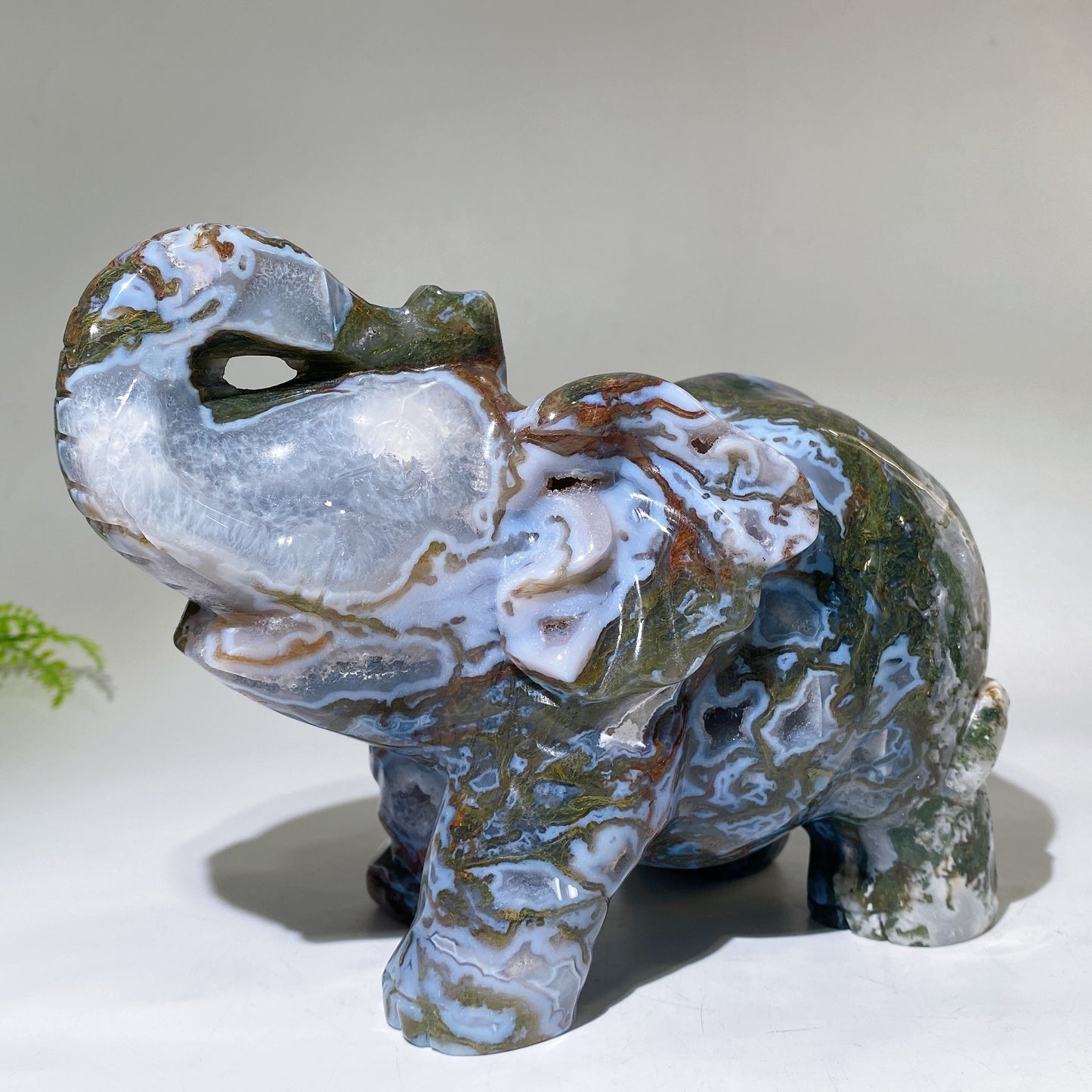 Large Unique Hand Carved Druzy Moss Agate Eelephant Crystal Healing Bulk Wholesale
