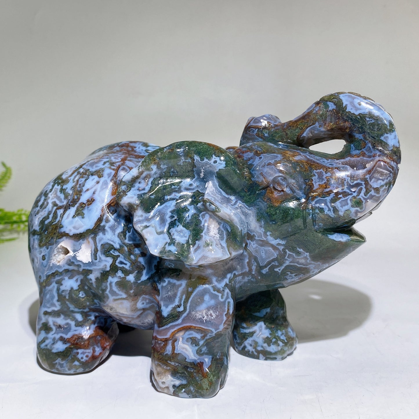 Large Unique Hand Carved Druzy Moss Agate Eelephant Crystal Healing Bulk Wholesale