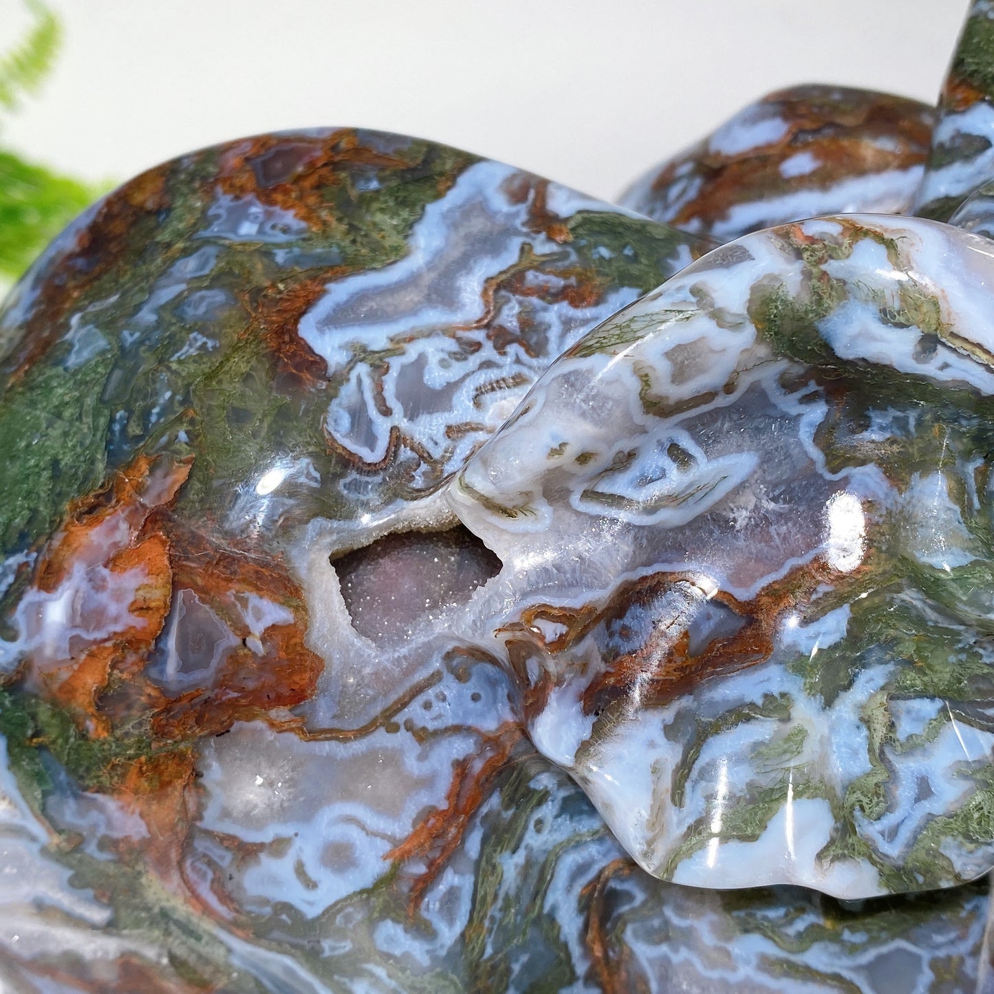 Large Unique Hand Carved Druzy Moss Agate Eelephant Crystal Healing Bulk Wholesale