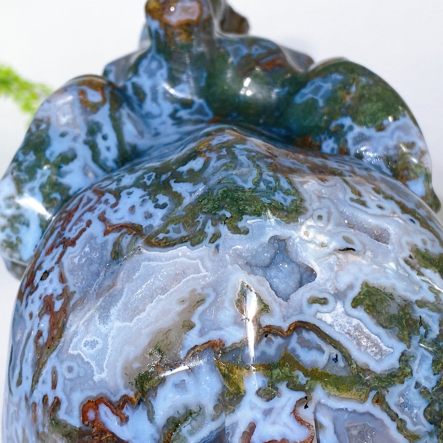 Large Unique Hand Carved Druzy Moss Agate Eelephant Crystal Healing Bulk Wholesale