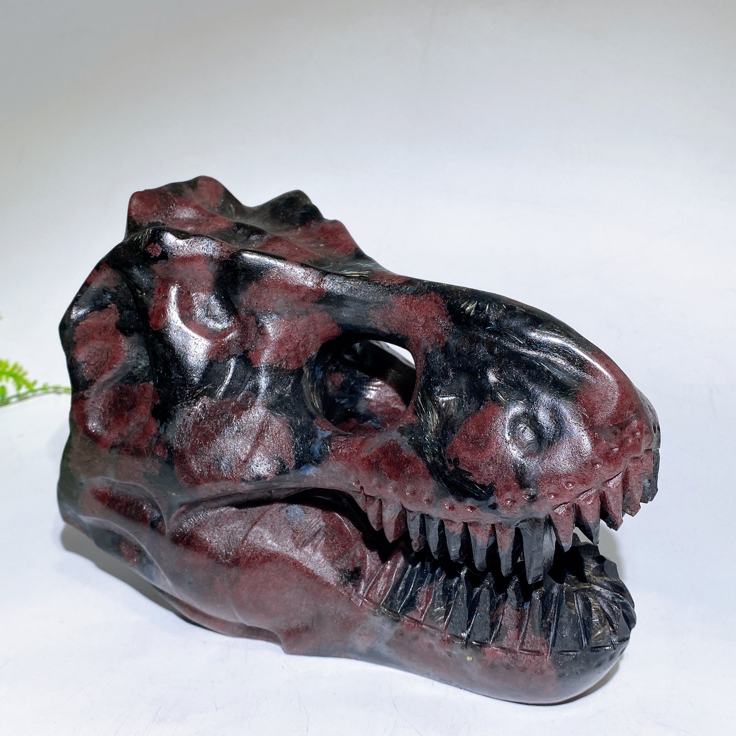 Natural Astrophylite Growing with Garnet Dinosaur Skull Carving Crystal Healing Bulk Wholesale
