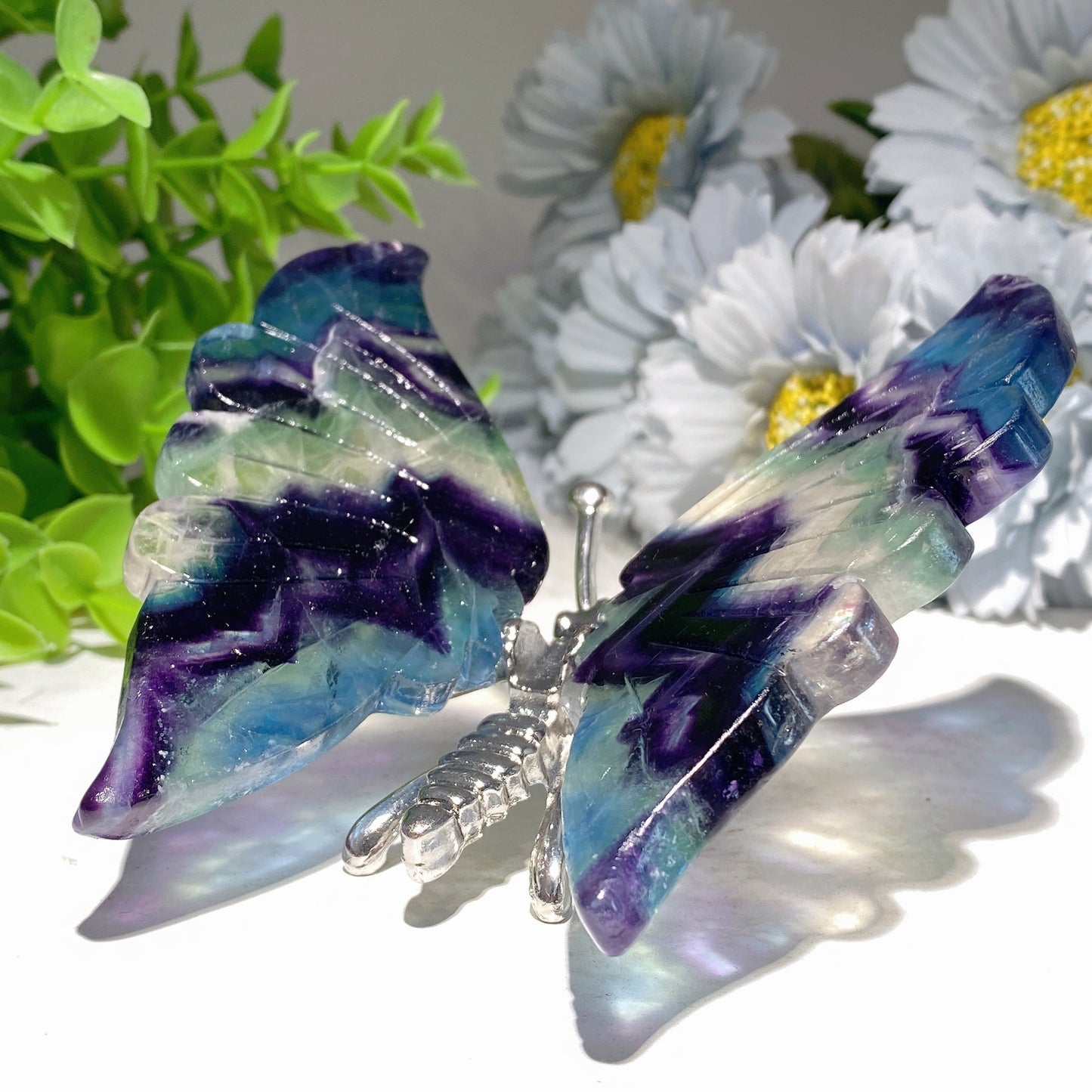 4.0"-4.8‘’ Fluorite Butterfly Dragonfly Carvings Bulk Wholesale