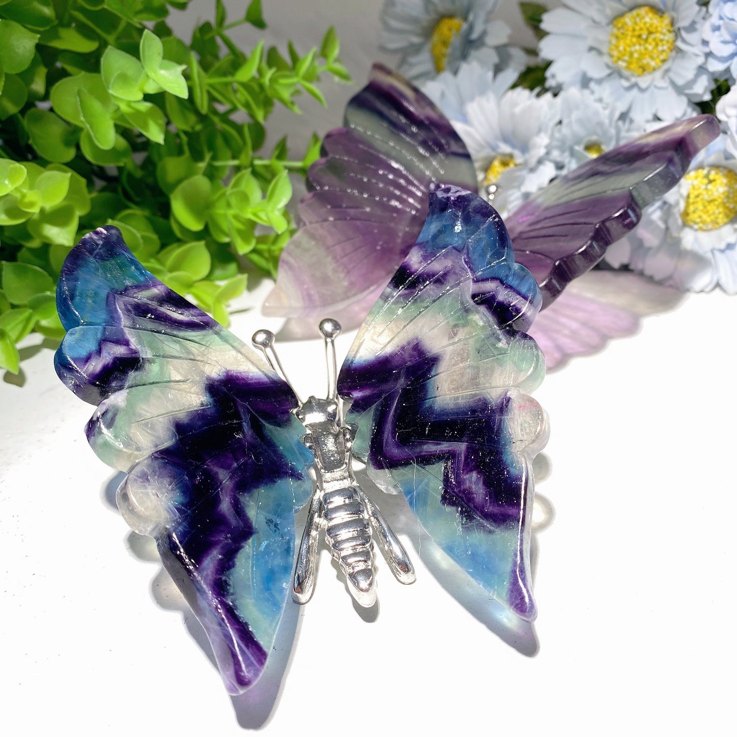 4.0"-4.8‘’ Fluorite Butterfly Dragonfly Carvings Bulk Wholesale
