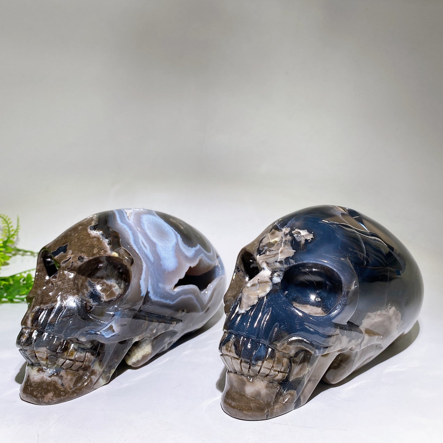 Large Unique Hand Carved Natural Volcanic Agate Skull Crystal Healing Bulk Wholesale