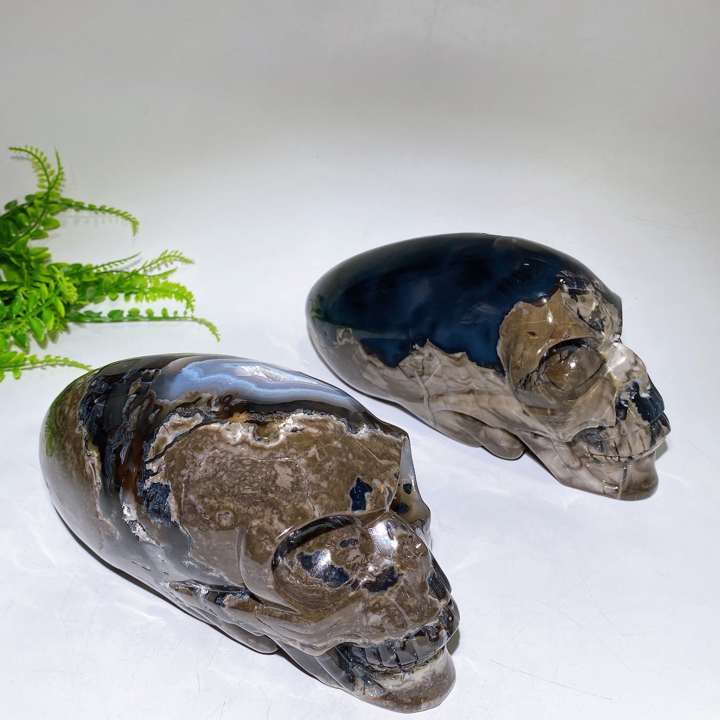 Large Unique Hand Carved Natural Volcanic Agate Skull Crystal Healing Bulk Wholesale