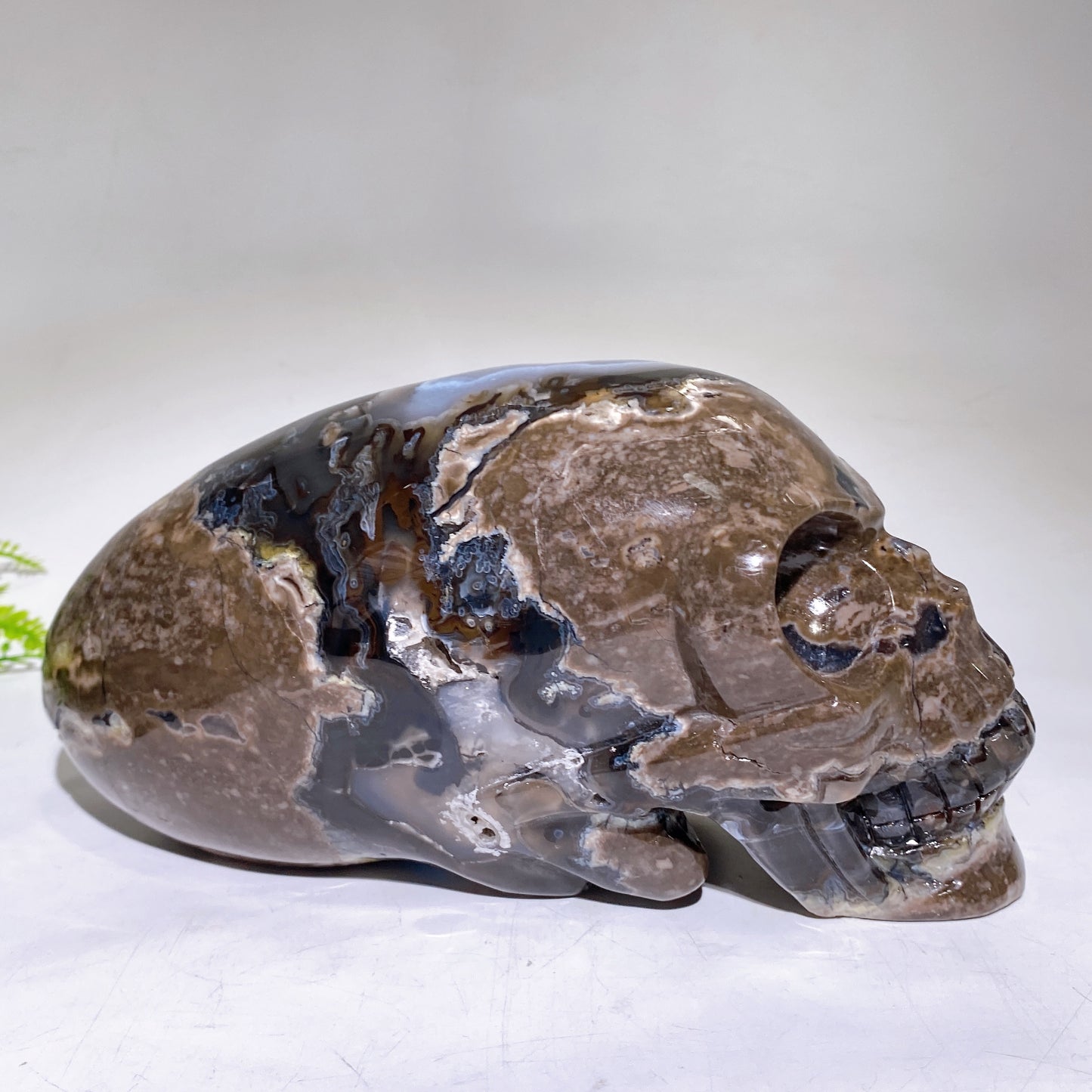 Large Unique Hand Carved Natural Volcanic Agate Skull Crystal Healing Bulk Wholesale