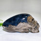 Large Unique Hand Carved Natural Volcanic Agate Skull Crystal Healing Bulk Wholesale