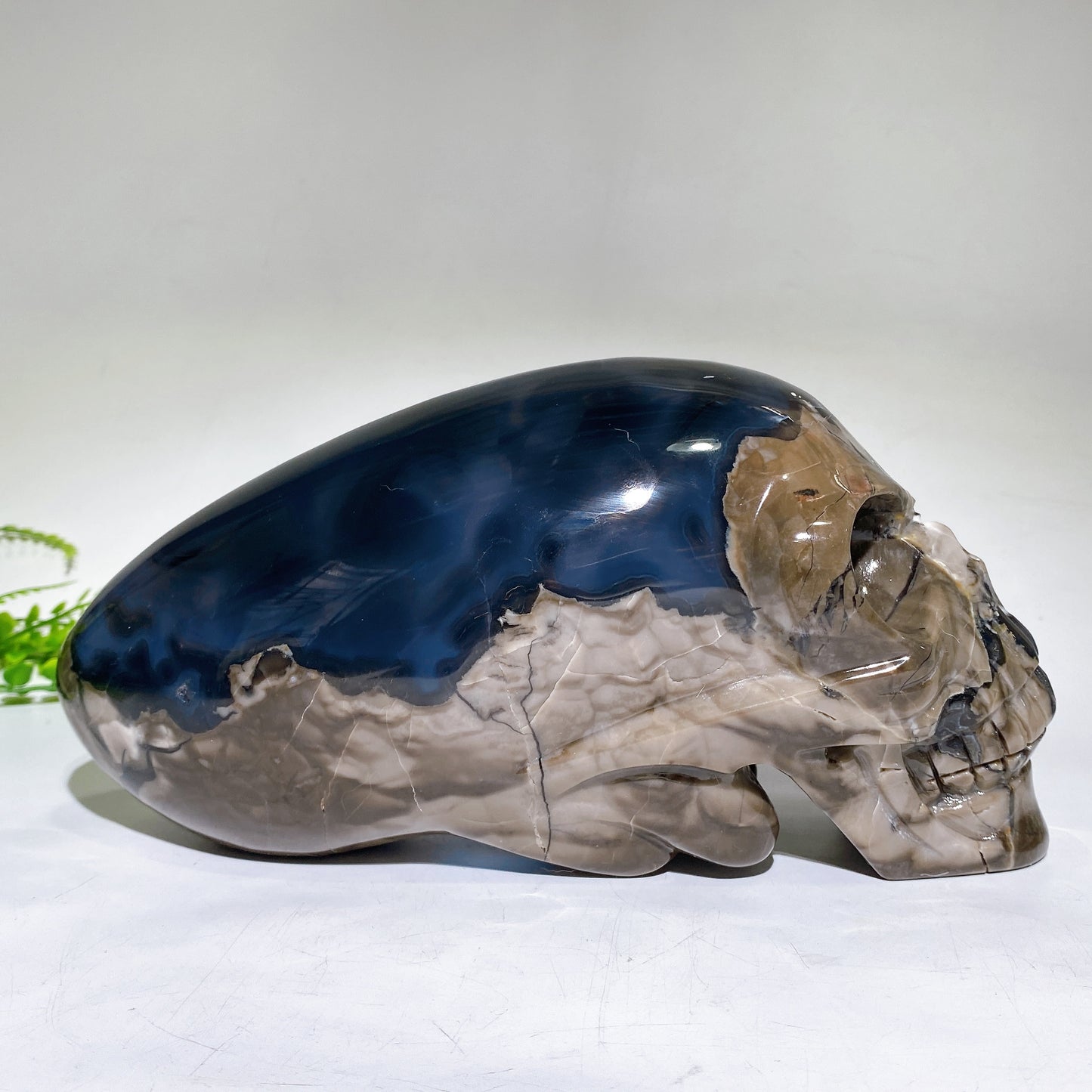 Large Unique Hand Carved Natural Volcanic Agate Skull Crystal Healing Bulk Wholesale