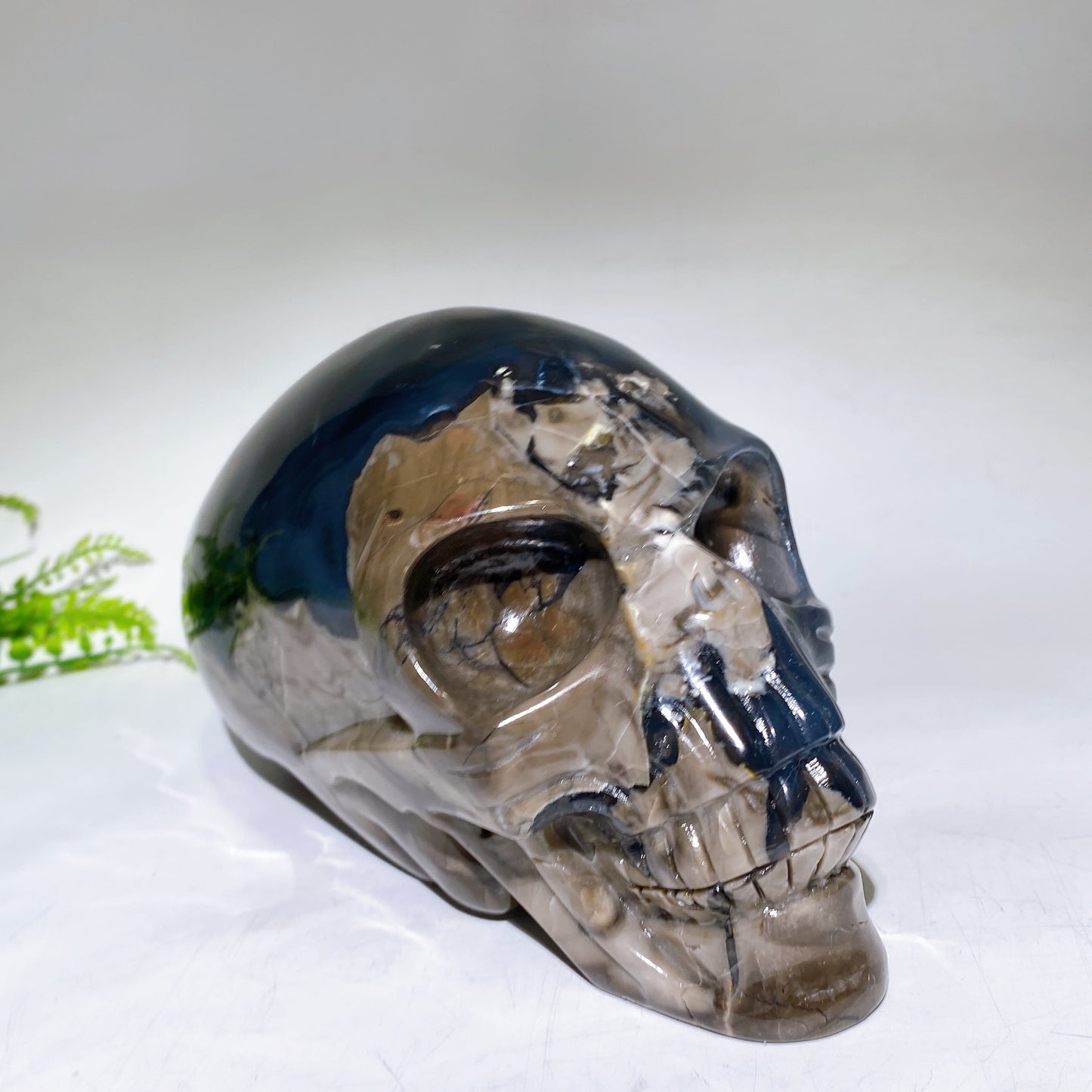 Large Unique Hand Carved Natural Volcanic Agate Skull Crystal Healing Bulk Wholesale
