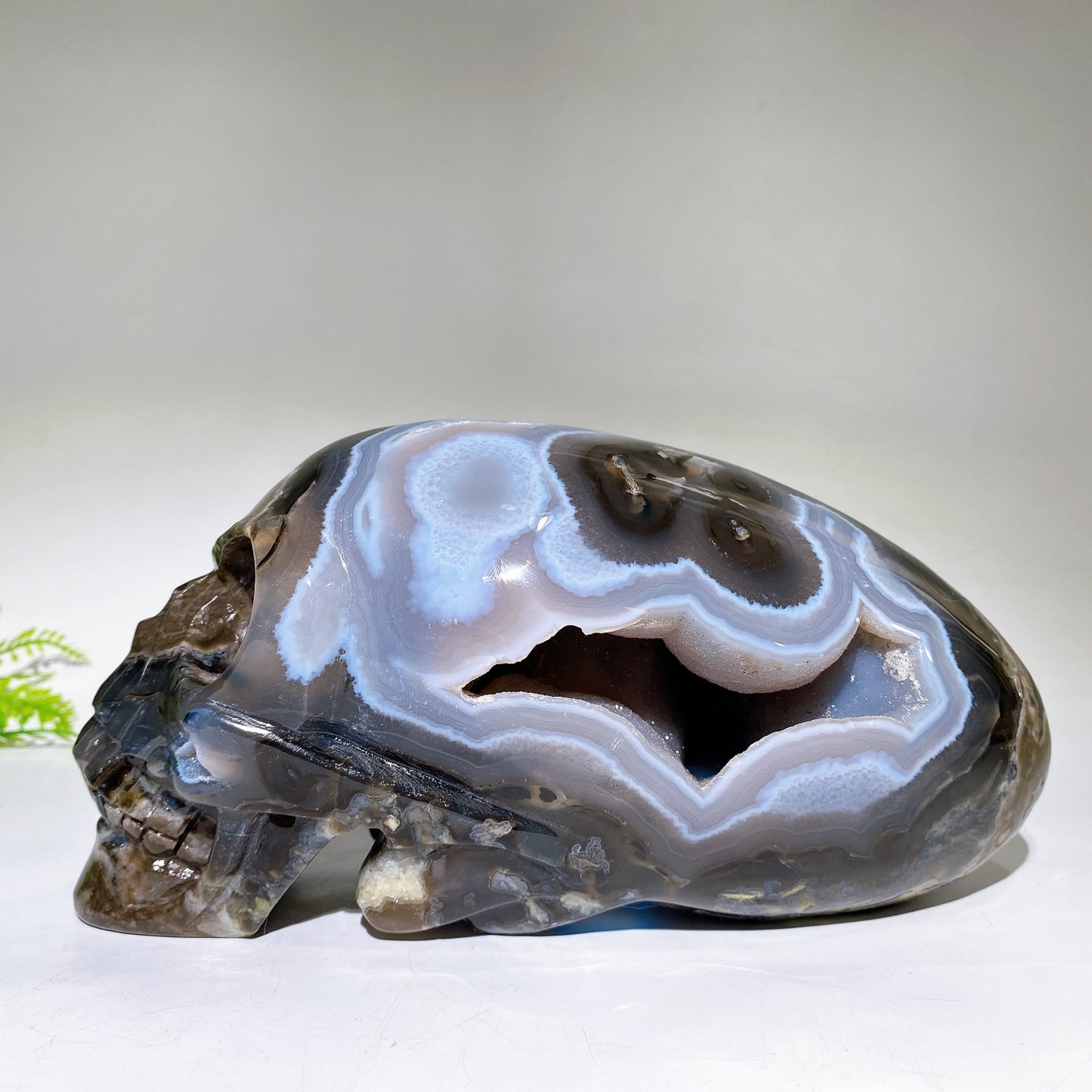 Large Unique Hand Carved Natural Volcanic Agate Skull Crystal Healing Bulk Wholesale