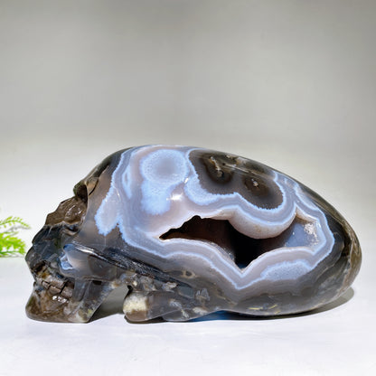 Large Unique Hand Carved Natural Volcanic Agate Skull Crystal Healing Bulk Wholesale