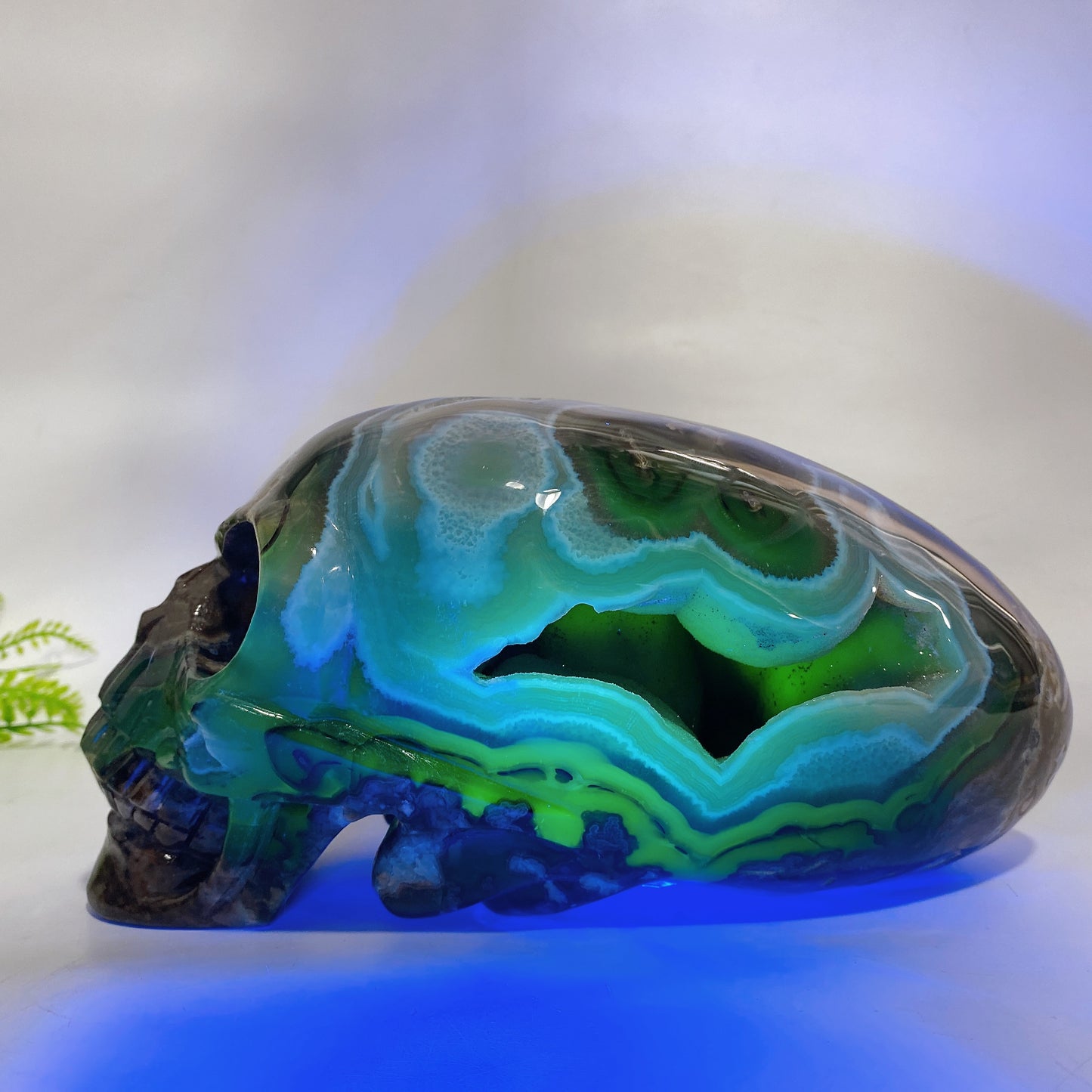 Large Unique Hand Carved Natural Volcanic Agate Skull Crystal Healing Bulk Wholesale
