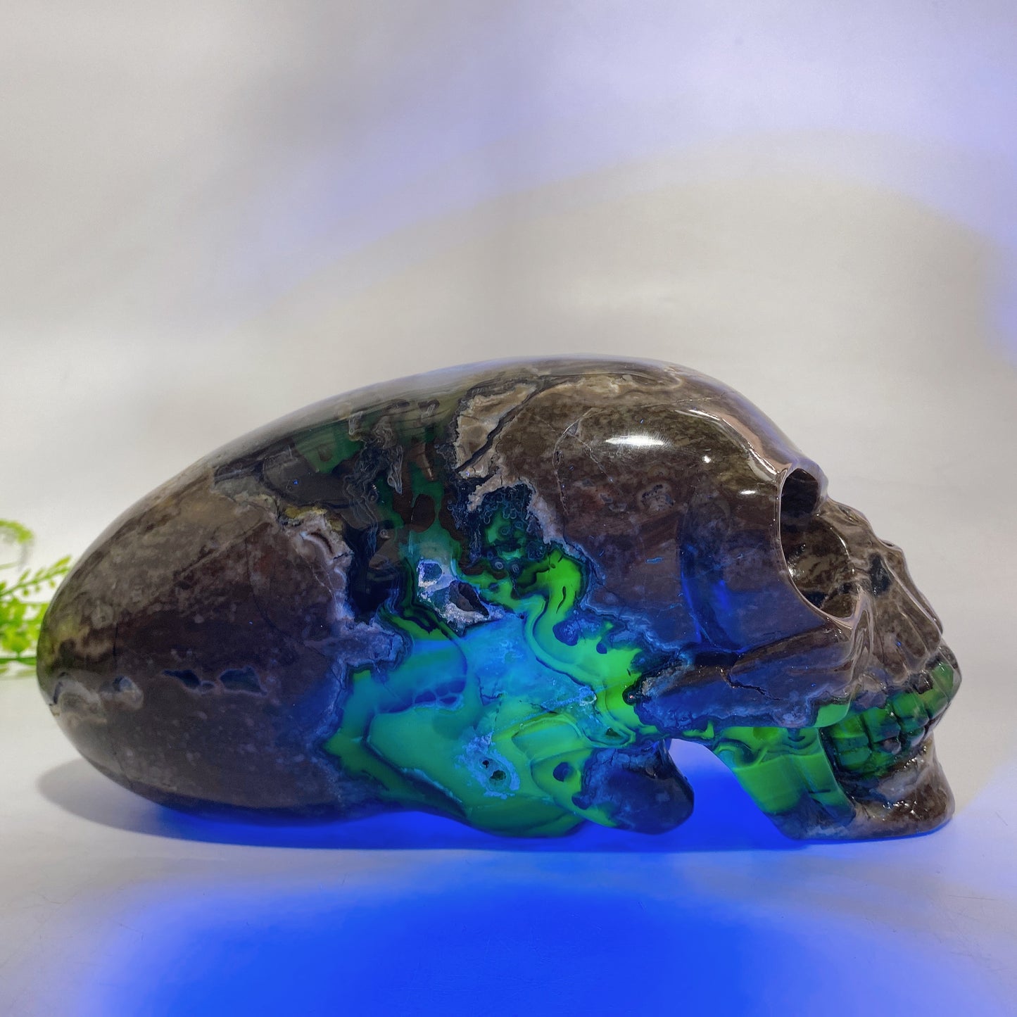 Large Unique Hand Carved Natural Volcanic Agate Skull Crystal Healing Bulk Wholesale