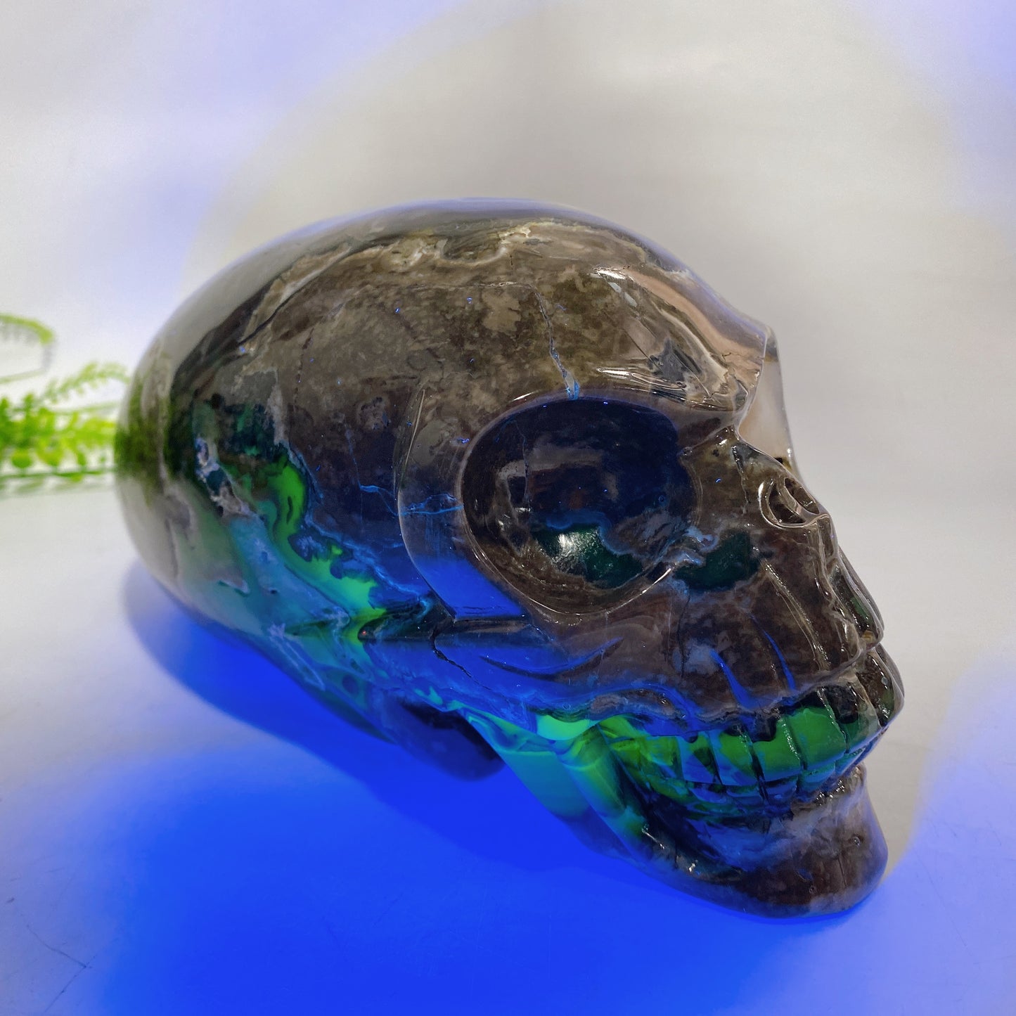 Large Unique Hand Carved Natural Volcanic Agate Skull Crystal Healing Bulk Wholesale