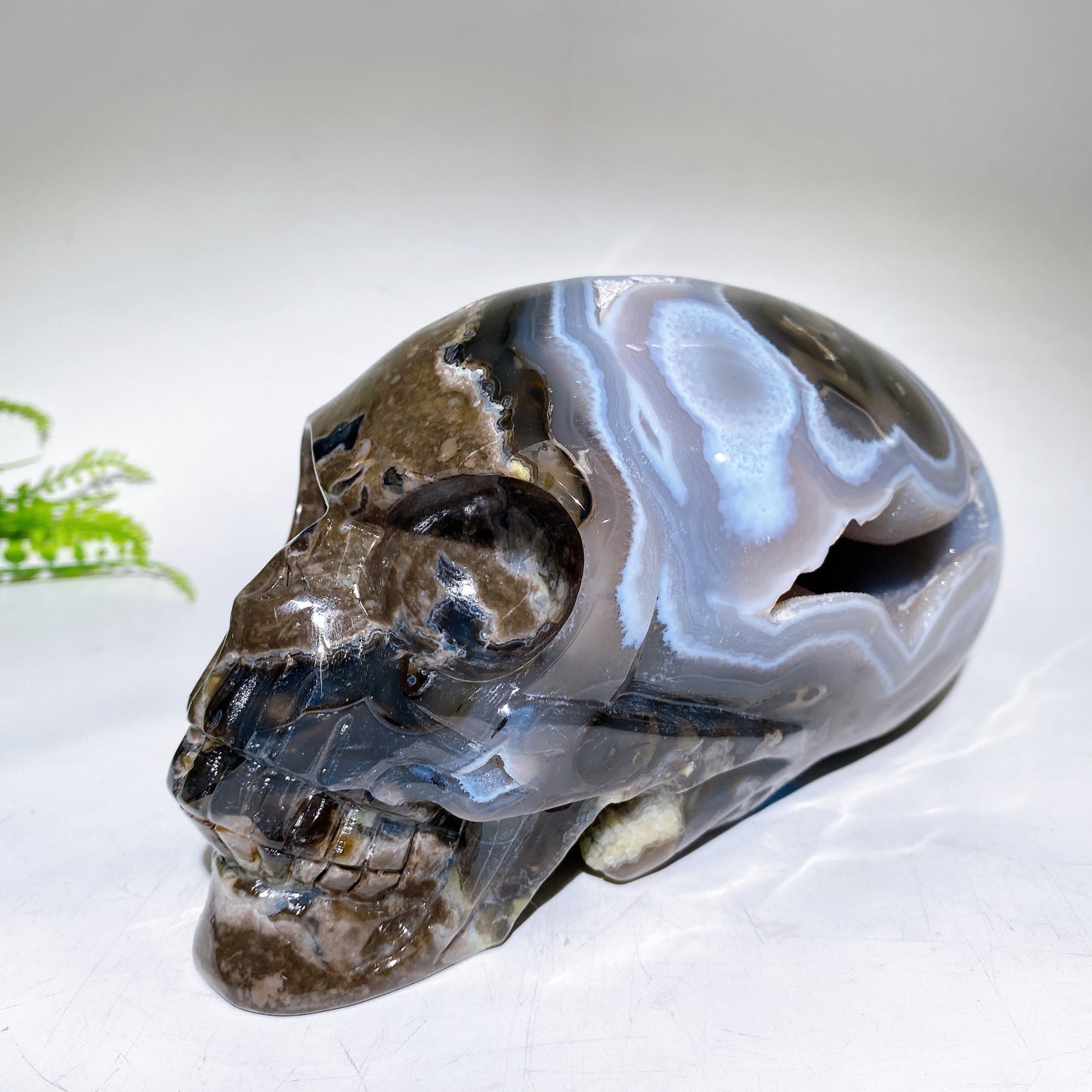 Large Unique Hand Carved Natural Volcanic Agate Skull Crystal Healing Bulk Wholesale