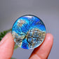 1.2" Natural Labradorite Life Tree Round Slab Crystal Healing Bulk Wholesale