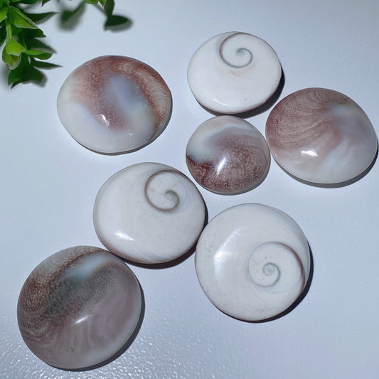 1.1"-1.5" Shiva's Eye Round Carvings Bulk Wholesale