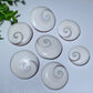 1.1"-1.5" Shiva's Eye Round Carvings Bulk Wholesale