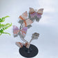 21cm Natrual Butterflies Sphere Holder Crystal Healing Bulk Wholesale