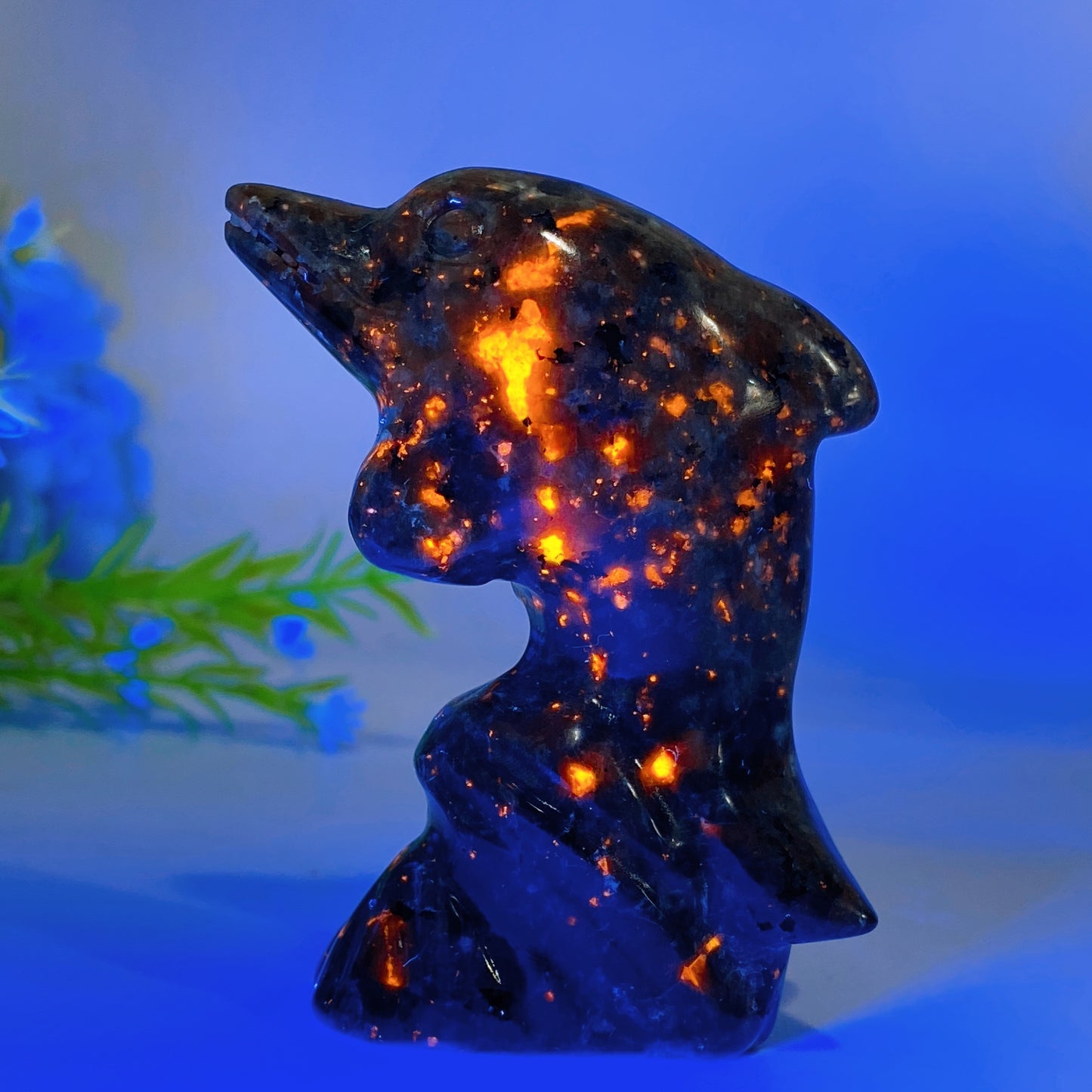 3.0" Crystal Dolphin Carving Crystal Healing Bulk Wholesale