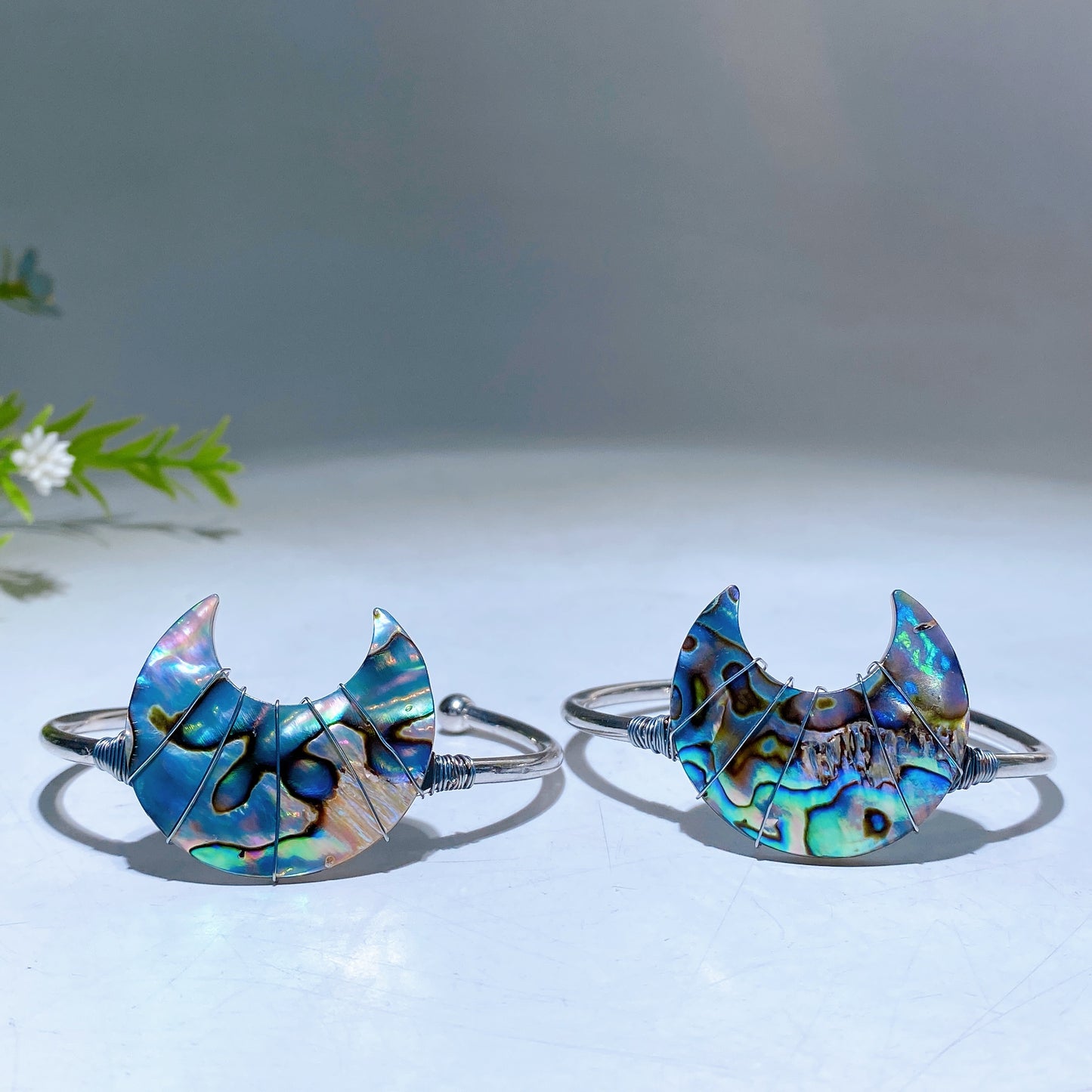 Abalone Shell Moon Bangle Crystal Healing Bulk Wholesale