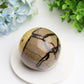 2.0"-3.2" Septarium Septarian Crystal Spheres Bulk Best Crystal Wholesalers