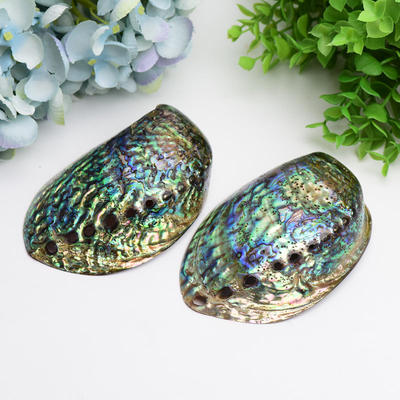 5.0" Aura Shell Free Form Bulk Crystal wholesale suppliers