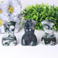 3“ Moss Agate Crystal Model Carvings Best Crystal Wholesalers