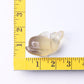 2.5" Fluorite Dolphin Crystal Carvings Animal Bulk Best Crystal Wholesalers