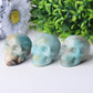 2" Caribbean Calcite Skull Crystal Carvings Best Crystal Wholesalers