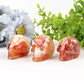 2" Carnelian Skull Crystal Carvings Best Crystal Wholesalers