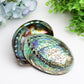 5.0" Aura Shell Free Form Bulk Crystal wholesale suppliers