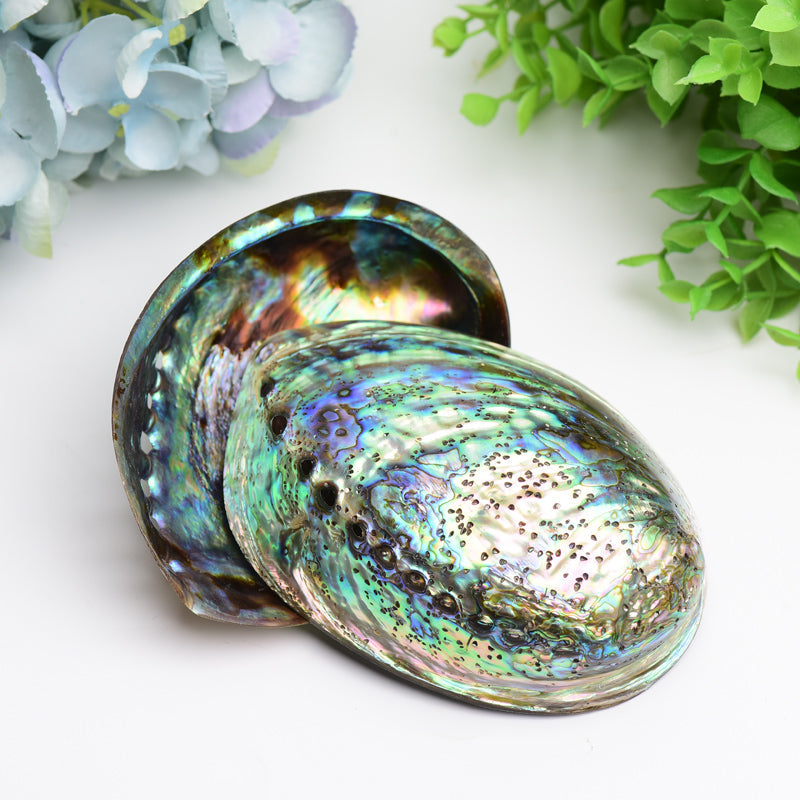5.0" Aura Shell Free Form Bulk Crystal wholesale suppliers