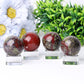 1.5" Dragon Blood Stone Crystal Sphere Best Crystal Wholesalers