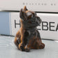 Tiger Eye Bull Dog Carvings Animal Bulk Best Crystal Wholesalers