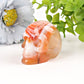 2" Carnelian Skull Crystal Carvings Best Crystal Wholesalers