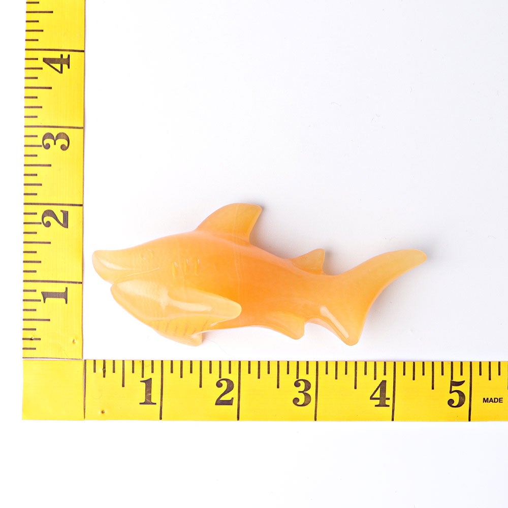 4" Honey Calcite Shark Crystal Carvings Animal Bulk Best Crystal Wholesalers