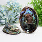5.0" Aura Shell Free Form Bulk Crystal wholesale suppliers